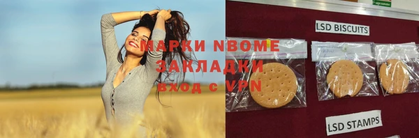 прущие грибы Алзамай