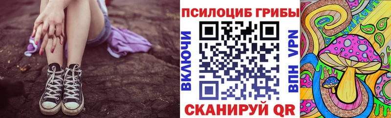 закладки  Уварово  Галлюциногенные грибы Psilocybe 